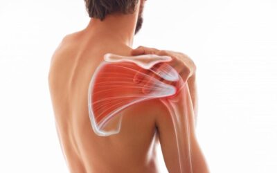 Chiropractic Care and Joint Health: Supporting Movement and Function