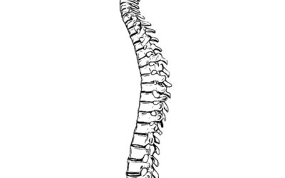 The Spine and Nervous System: A Functional Relationship Beyond Back Pain